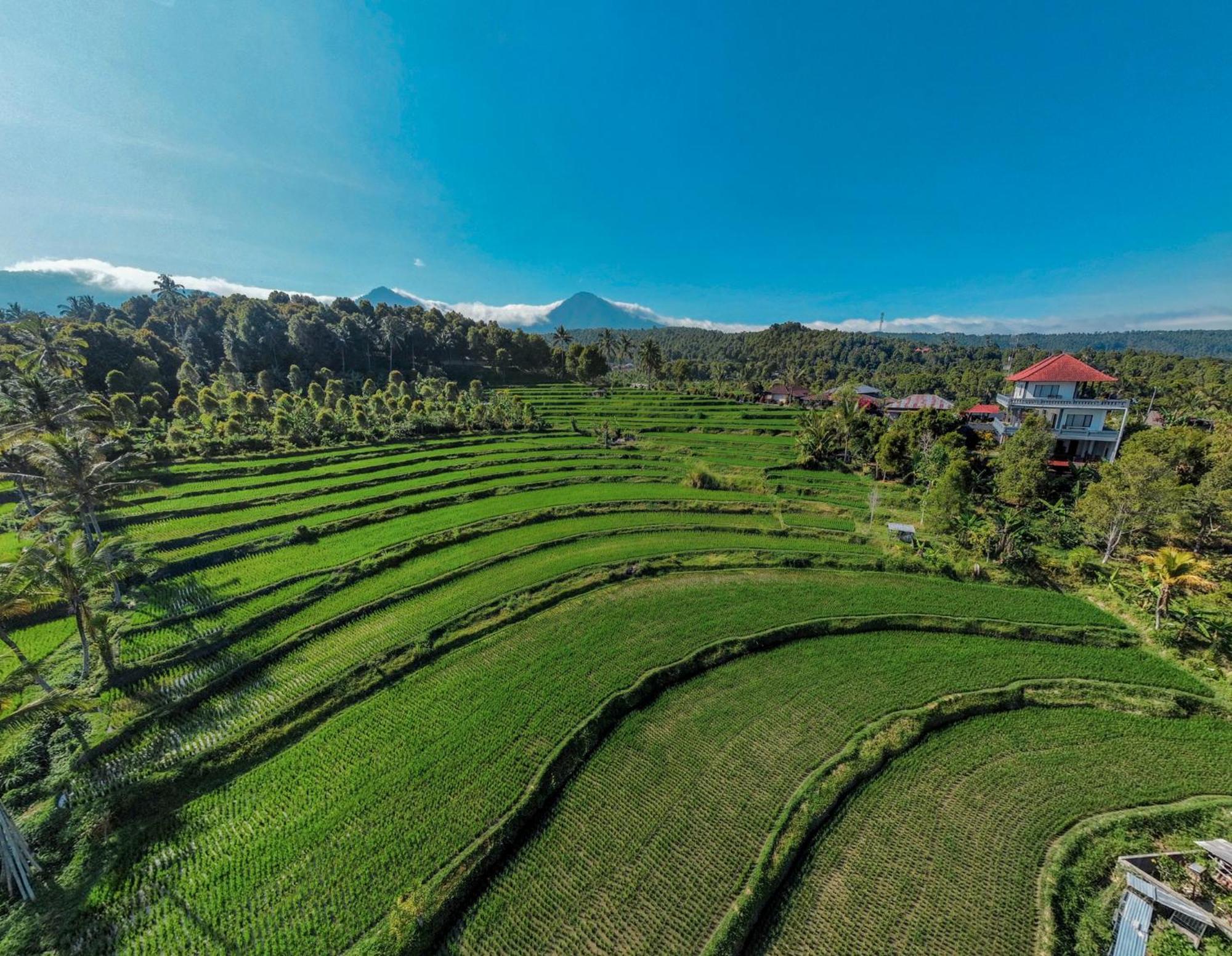 Munduk Candra Cottage מראה חיצוני תמונה